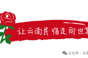 民宿设计趋势2024