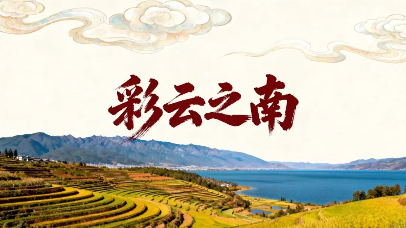3_810x455 (1).png
