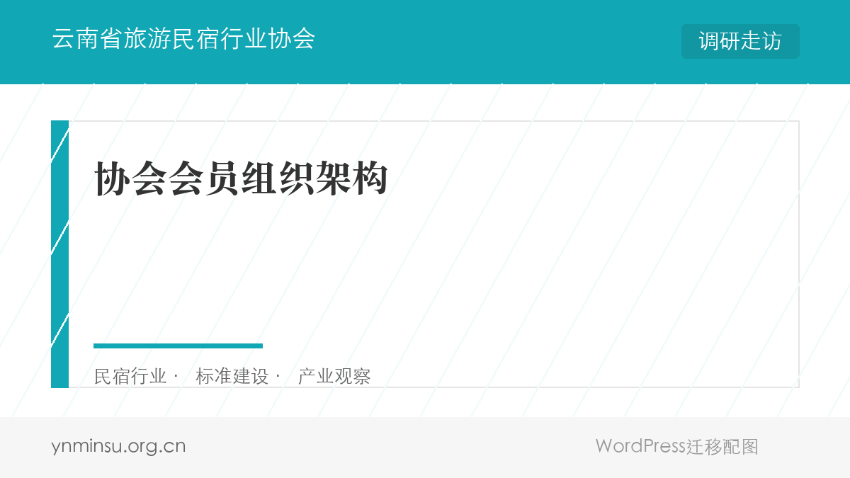 协会会员组织架构